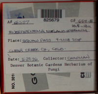 Image Associated With the Occurence